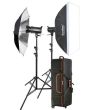 Godox Studio 2 Head Kit SK300 + 2 Light Stand (SK300IIV-KIT) 